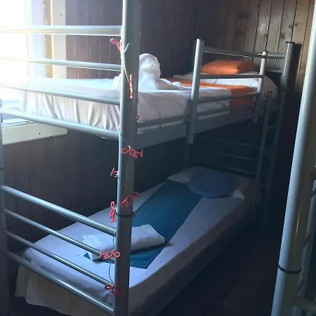 Flamingo * 코스티네스티